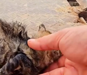 M0202016_tiktok_7353267028293127466_7353267028293127466_part2