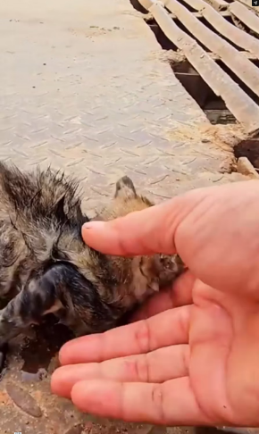 M0202016_tiktok_7353267028293127466_7353267028293127466_part2