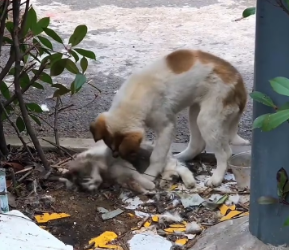 M0202019_tiktok_7601122759443303710_7601122759443303710_part2