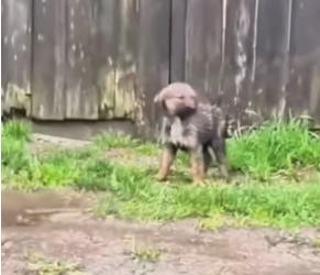 M0202018_tiktok_7600894332308147486_7600894332308147486_part2