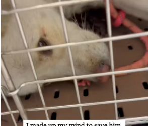 M0202020_tiktok_7596927166068133150_7596927166068133150_part2