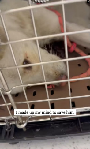 M0202020_tiktok_7596927166068133150_7596927166068133150_part2