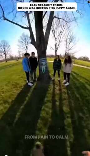 M0202021_tiktok_7601286697338342670_7601286697338342670_part2