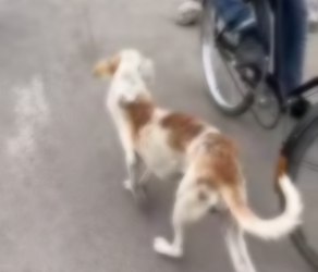 M0202022_tiktok_7601109720635575574_7601109720635575574_part2