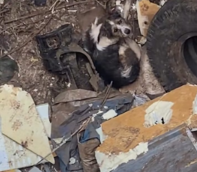 M0202023_tiktok_7599344461717490962_7599344461717490962_part2