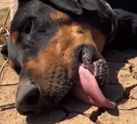 M0202024_tiktok_7600839176958889237_7600839176958889237_part2