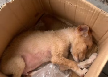 M0202025_tiktok_7445527411992677678_7445527411992677678 part2