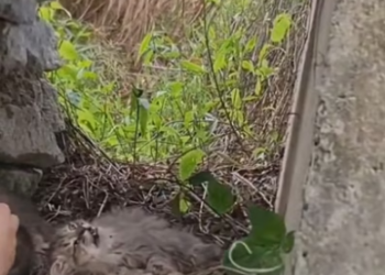 M0202026_tiktok_7600364721765682445_7600364721765682445_part2