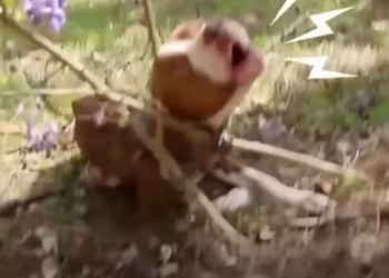 V0402004_Oh my god watch this lasts�_part2