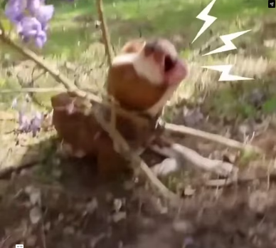 V0402004_Oh my god watch this lasts�_part2