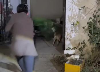 V0402006 Thank you, everyone. Shui Qing _part2