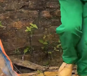 V0402011_While I was at the vet treating the sick puppies, my brother called and said that while checking the garden he found a