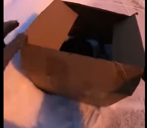 V0402018_This Puppy Dog Was Left Alone… Now He Finally Feels Safe � #puppytok #dogsoftiktok #rescuedog #abandonedpuppy #animalr