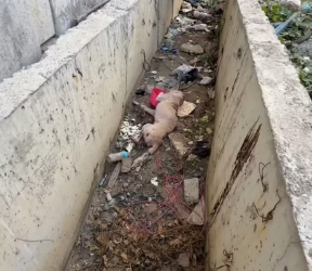 M3101022 Bilis ng Panahon, 1 year ago na pala tong si Rave. � Raevin Bonifacio Blogs