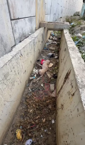 M3101022 Bilis ng Panahon, 1 year ago na pala tong si Rave. � Raevin Bonifacio Blogs