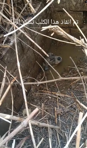 M0802017_0S5BJI8R_part2