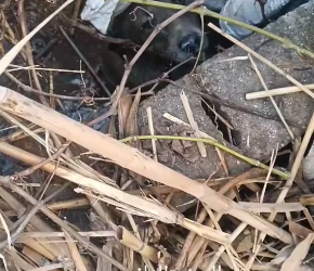 M0802018_TWB69EGG_part2