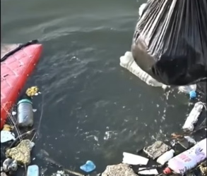 V1202003_Abandoned Kittens Saved From Lake_part2