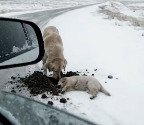 V1202005_�����❤️_part2