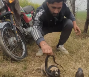 M0202003_�❤️_1101325892040448_part2