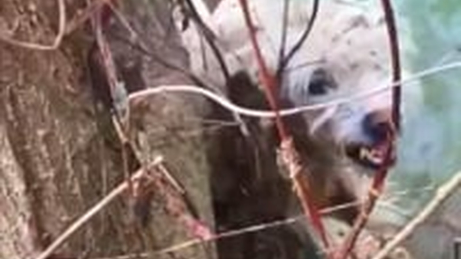 M0303024_NO es Fácil Volver Confiar..._part2