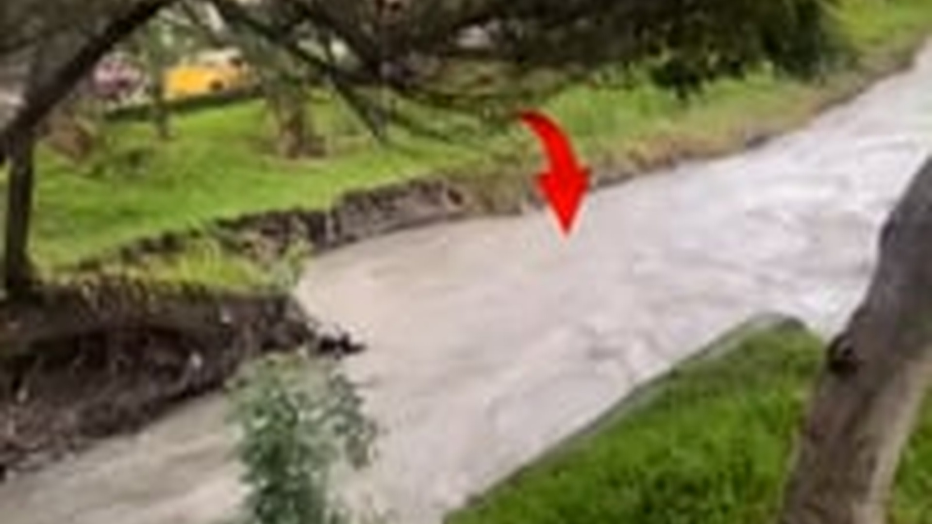 M0303025_Con las uñas de aferraba a las rocas para no perecer! #reflexion #history #rescue #dog_part2