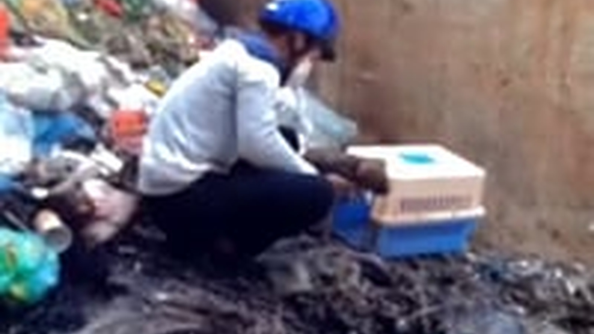 M0303030_Recuse the poor puppy #animal #help #save #love #foryou #pet #cool #fyp_part2