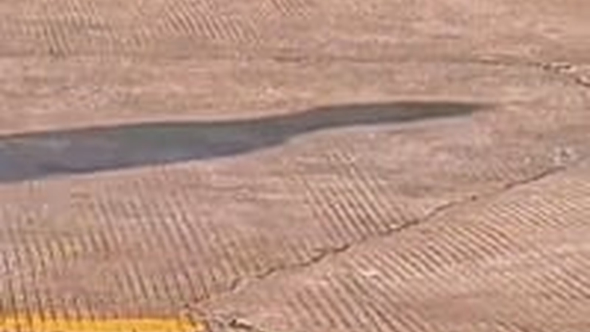 M0303032_Rescue a kitten. #rescue #rescueanimals #animals #cat #fyp #kitten_part2