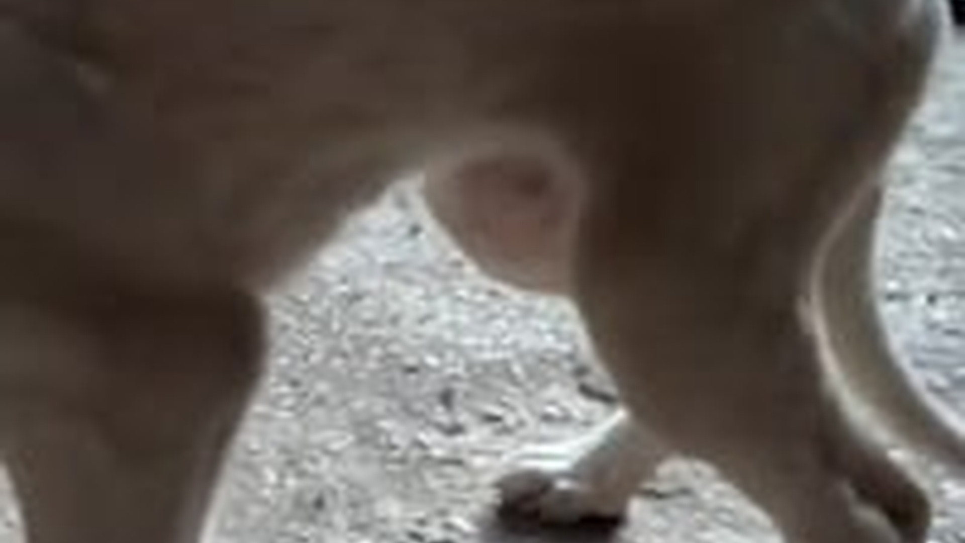 D1203015_Tag 2 „Alita“ ist heute Dank unserem Buddy ein bisschen aufgeblüht. Kleine Schritte in die wir große_part2