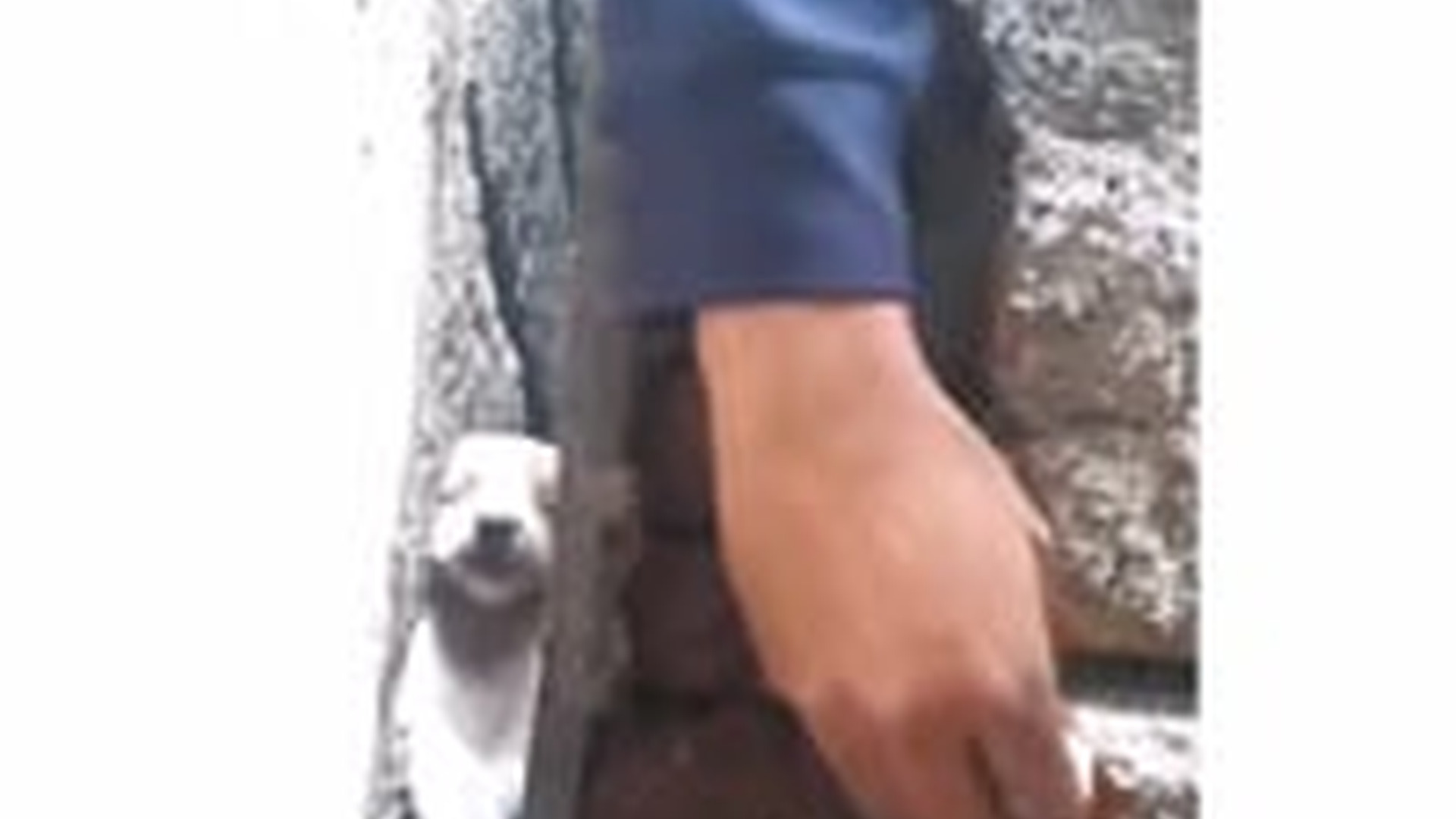 D1203028_الجرو المحاصر.. في إتصال هاتفي تلقى هذآ الرجل ذو الإنسانية العاليه ليعلم بوجود هذا الحيوان المسكين ا_part2