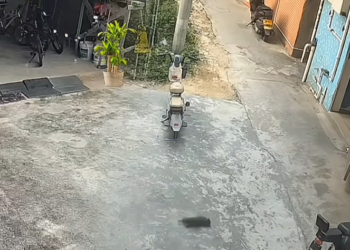 M0603035_🐱 Shocking CCTV footage_ Cat suffers a seizure, falls off the balcony, and is rescued by kind women_part2