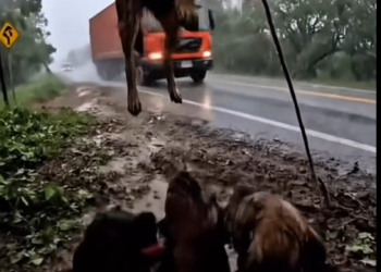 B1103009 Small Life Finds Sa_part2