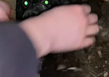 B1303021_I found a dog with his mouth andlegs tied and abandoned in a hole.l rescued him, and then…#dog #re_part2