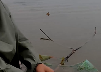 M0203002_One rainy afternoon, I was fishing by the lake when I noticed a foul, unpleasant smell. I checked ar_part2