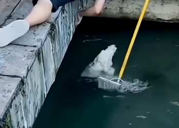 B0603020_Thank you saving me_part2