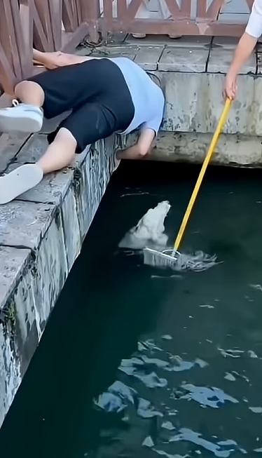 B0603020_Thank you saving me_part2