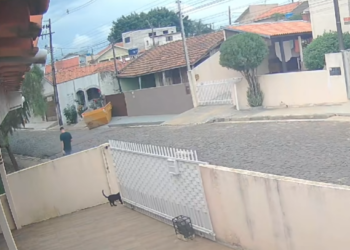 M0603016_#Deus #gatos #gato #susto #cat_part2