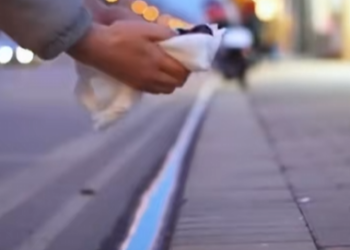 M2402003_Rescue a puppy on the road #rescueanimals #rescue #dog #dogsofttiktok #puppy_part2