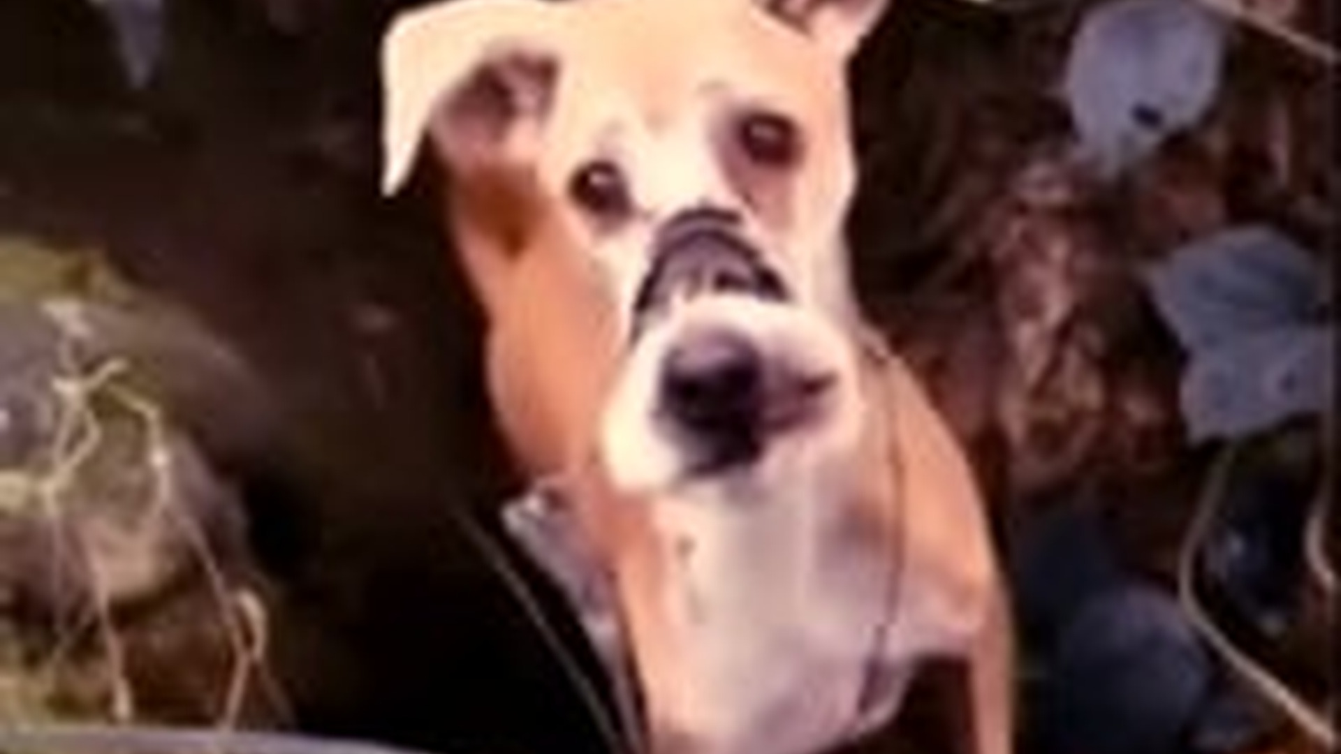 D0904033_Offcail Kamal on Re_part2