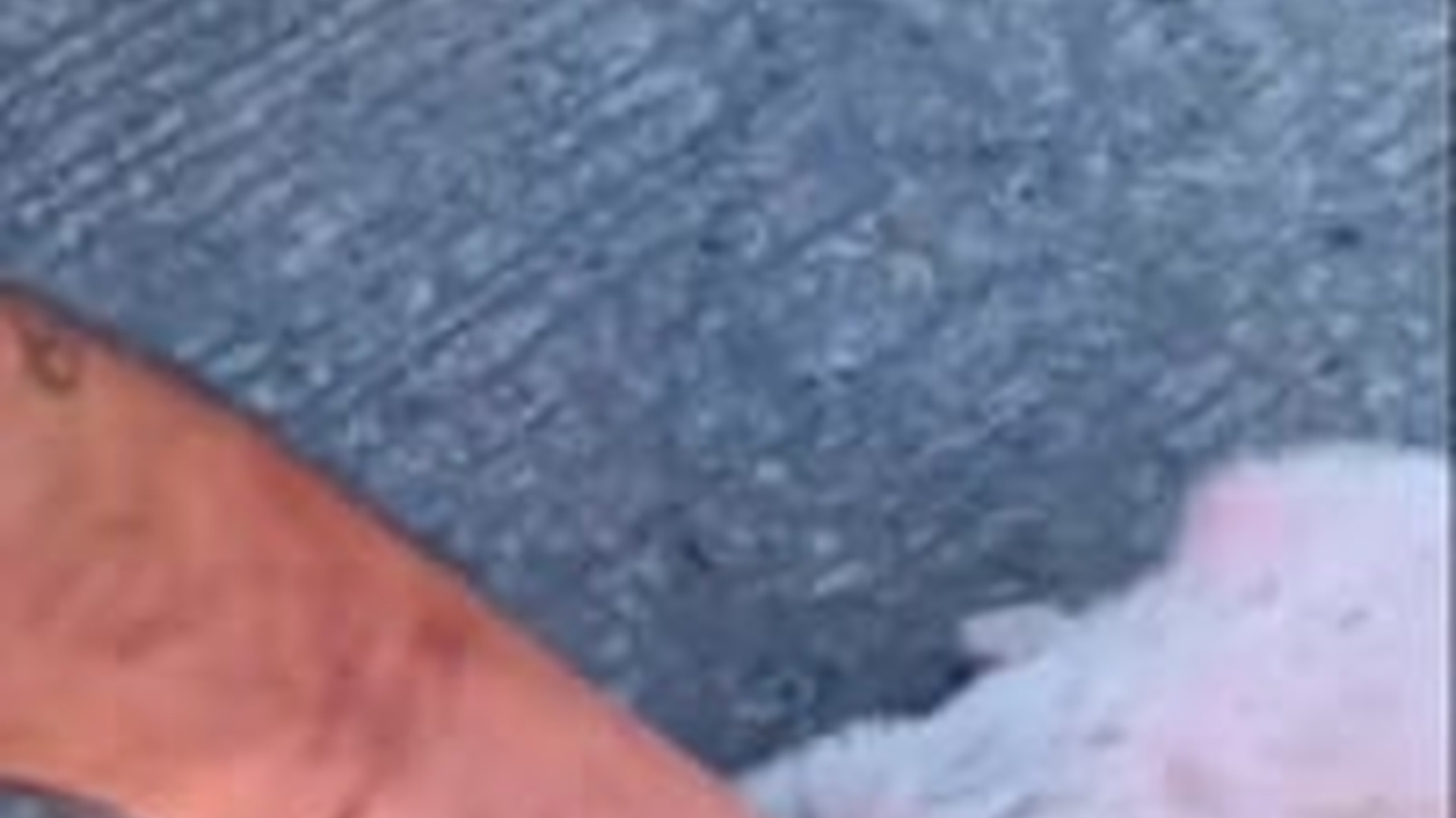 D0904044_This kind family found a poor puppy on the street and adopted it . #animals #animallover #puppy #an_part2