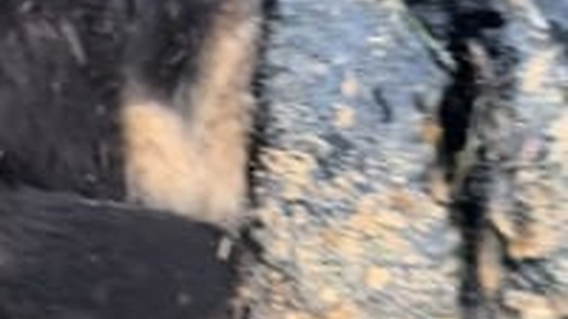 D1504020_In the video you will see the whole process… �� It is not easy to watch. And it is even harder to experience._part2