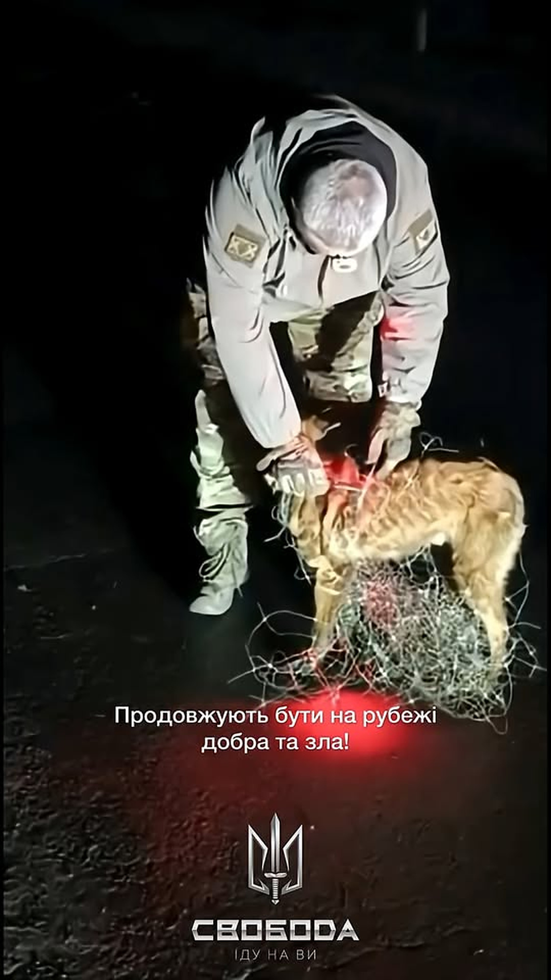 D2005045_A fighter from the "Svoboda" battalion saved a dog that got entangled in an anti-drone net_part2