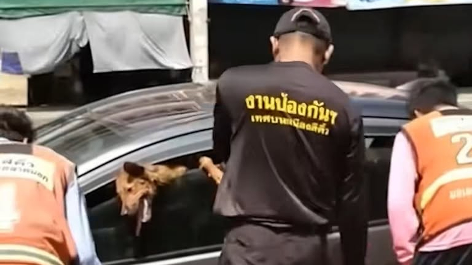 D2005001_A cautionary tale! Parking in the sun with a dog inside, even with the windows slightly open, wasn't enough. #StorytellingClip #ParkingInTheSun #WannewsAgency_part2