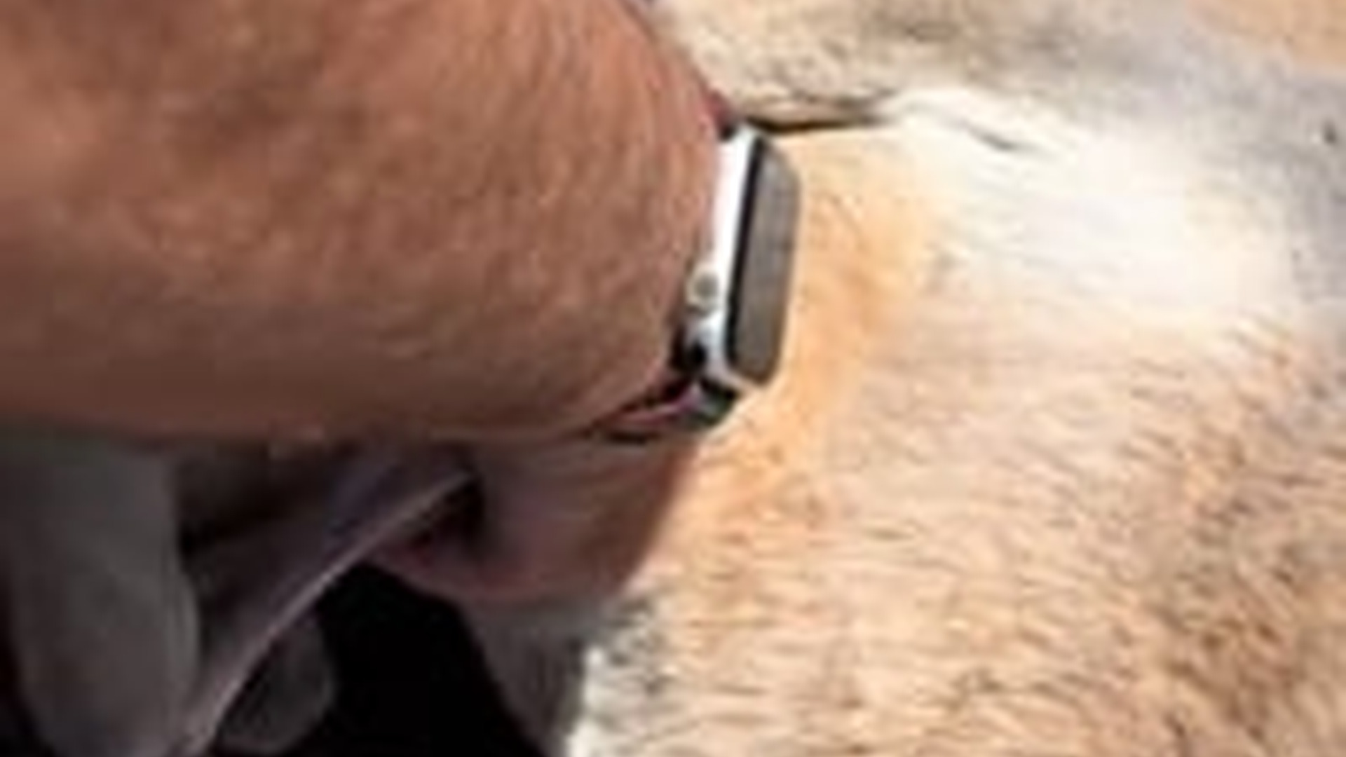 D0106024Rescuing a Helpless Kangaroo After Losing Its Mother #AnimalRescue #foryou #fyp #trending_part2
