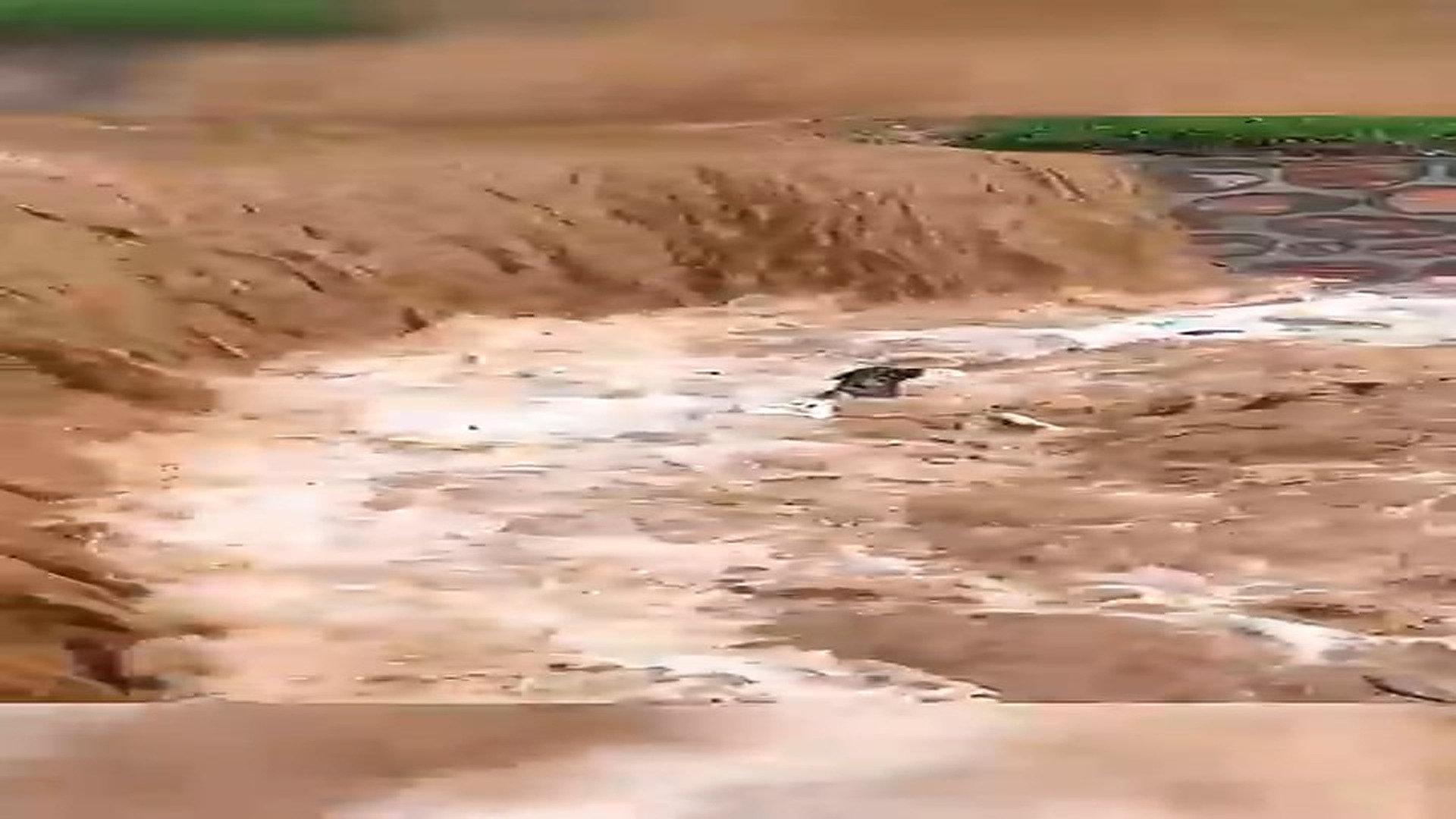 He Risked Everything to Save This Dog From the Flash Flood! ❤️ #shorts #rescue #dogrescue