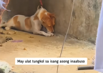 D0801001Maraming salamat sa mga pulis, volunteers, at adopter